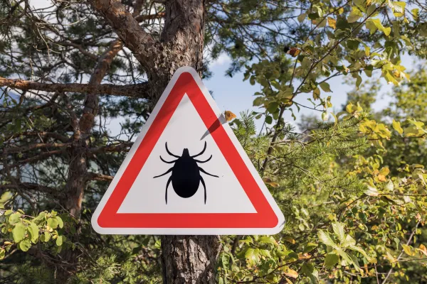 tique